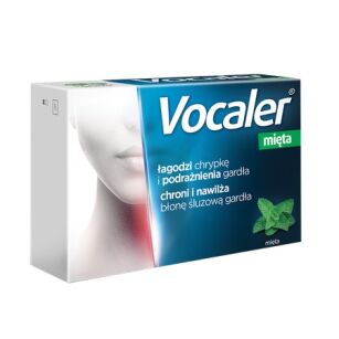 Vocaler Mięta x 12past.