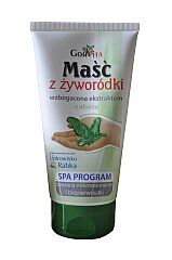 Maść z żyworódki + aloesu 130ml GORVITA